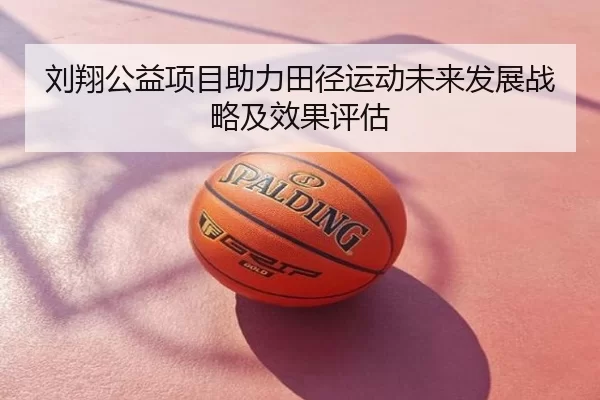 刘翔公益项目助力田径运动未来发展战略及效果评估